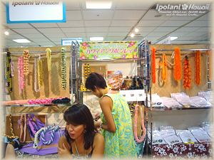 2008 �ɐ��O�{���X �n���C�A���C�x���g�o�W���i - ipolani Hawaii