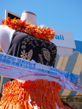 2011 ������A���n�}�[�P�b�g�o�W���i - ipolani Hawaii