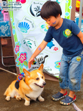 2013 ������A���n�}�[�P�b�g�o�W���i - ipolani Hawaii