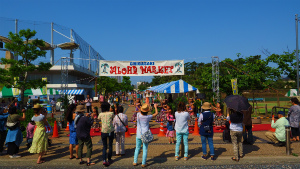 2014 ������A���n�}�[�P�b�g�o�W���i - ipolani Hawaii