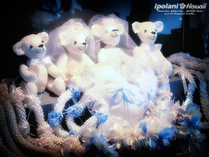 2008 ���̂����n���C�A���N���t�g�X - ipolani Hawaii