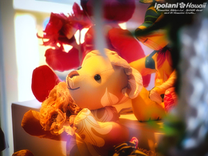 2008 ���̂����n���C�A���N���t�g�X - ipolani Hawaii