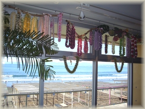 2008 ���̂����n���C�A���N���t�g�X - ipolani Hawaii