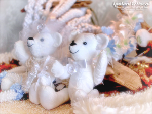 2009 ���̂����n���C�A���N���t�g�X - ipolani Hawaii