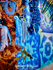 2009 ���̂����n���C�A���N���t�g�X - ipolani Hawaii