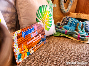 2009 ���̂����n���C�A���N���t�g�X - ipolani Hawaii