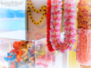 2009 ���̂����n���C�A���N���t�g�X - ipolani Hawaii