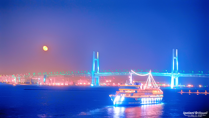 2014 �J�t���z�A ���{�����C���[�N�V���b�v - ipolani Hawaii