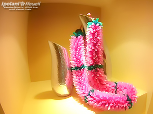 2010 ���{�o�c�A �T�}�[�Z�~�i�[ ���f�B�X�v���O�����@���{�����C���[�N�V���b�v - ipolani Hawaii