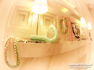 2010 ���{�o�c�A �T�}�[�Z�~�i�[ ���f�B�X�v���O�����@���{�����C���[�N�V���b�v - ipolani Hawaii