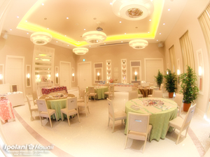 ���{�o�c�A �ċG�Z�~�i�[ ���f�B�X�v���O���� - ipolani Hawaii