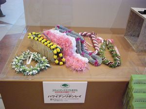 2005�N �ʐ썂���� ���{�����C�W����