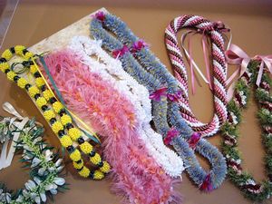 2005�N �ʐ썂���� ���{�����C�W����