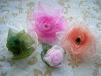 �V�t�H�����{���̃R�T�[�W��