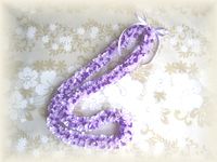 ���x���_�[�J�[�l�[�V�����P