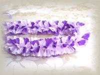 ���x���_�[�J�[�l�[�V�����Q