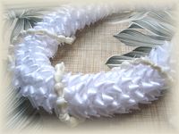 �s�J�P�V�F���Q