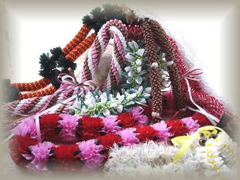 ���{�����C�M�������[�Q