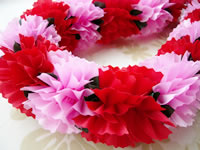 ���b�h�J�[�l�[�V�����Q