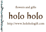 HoloHolo